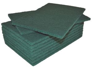 Nylon Scourer 23x15x1 10pk