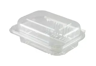 Enviro Salad Pack Large 250CTN