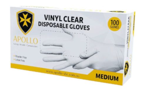 Vinyl Glove - Large P/Free
