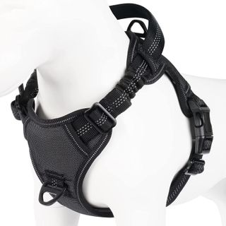 Harnesses