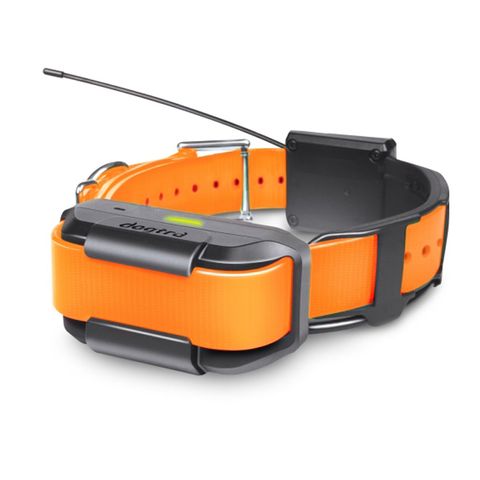 Dogtra Pathfinder GPS/E Collar Only - Orange