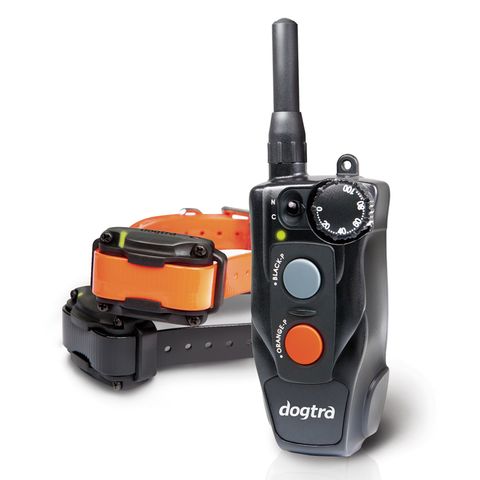 Dogtra 202C Complete 2 Dog Training System
