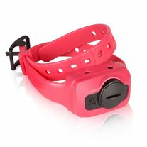 Dogtra iQ CLiQ Extra Training Collar - Pink