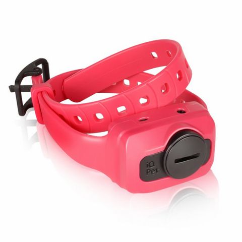 Dogtra iQ CLiQ Extra Training Collar - Pink