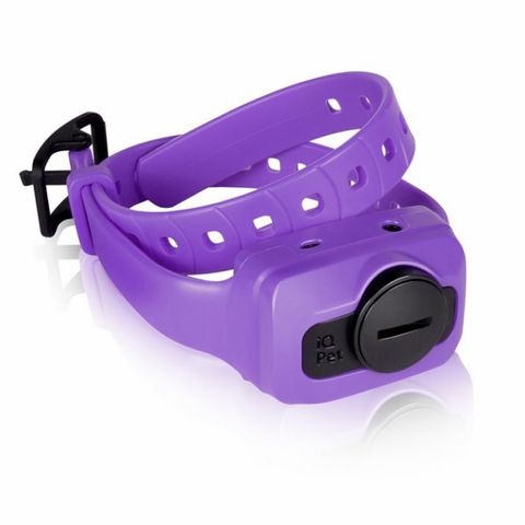 Dogtra iQ CLiQ Extra Training Collar - Purple