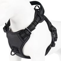 Standard Harness