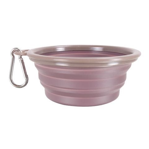 Quick Bite Collapsible Travel Pet Bowl