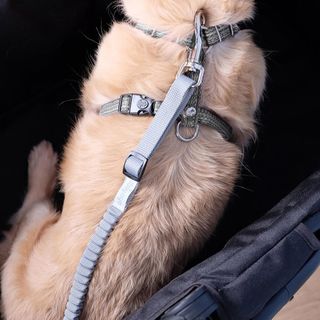 Ibiyaya No Shock Bungee Leash Extension - Grey