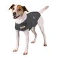 ThunderShirt Anxiety Vest