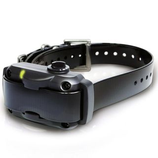 Dogtra YS600 Bark Control Collar for Large Dogs