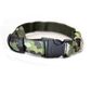 LED Collar
