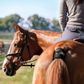 Garmin Blaze Equine Horse Wellness System