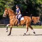Garmin Blaze Equine Horse Wellness System