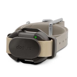 Dogtra 200iQ Dog Training System - most dogs