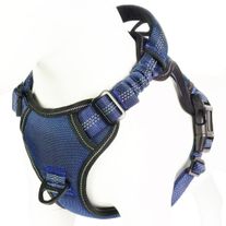 Standard Harness