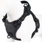 Standard Harness
