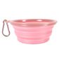 Quick Bite Collapsible Travel Pet Bowl