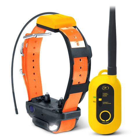 Dogtra Pathfinder2 GPS Track & Train System