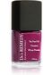 FOCUS FUCHSIA 15ml CREME THE END SALE HALF PRICE
