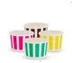 Ice Cream & Sundae Containers