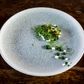 BONNA LUCA OCEAN ROUND COUPE PLATE 170mm (S-MT-LUCOCGRM17DZ) (*130180*) = PACK OF 12 X EACHES