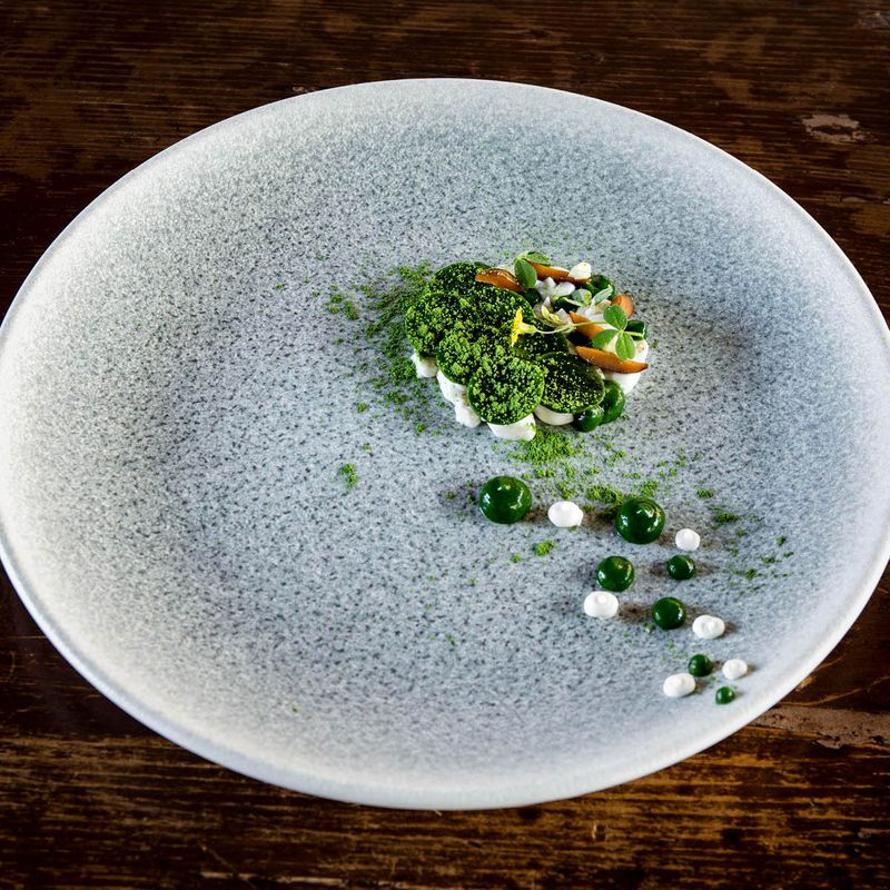 LUCA OCEAN ROUND COUPE PLATE 270x30mm (S-MT-LUCOCGRM27DZ) (*130182*) = PACK OF 12 X EACHES