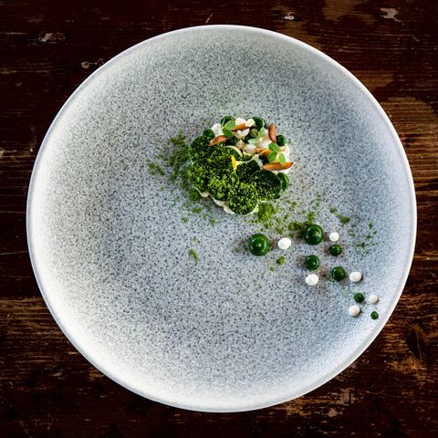 BONNA LUCA OCEAN ROUND PASTA PLATE 240mm (S-MT-LUCOCGRM24CK) (*130185*) = PACK OF 6 X EACHES