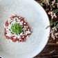 BONNA LUNAR WHITE HYGGE ROUND BOWL 140x50mm (S-MT-LUNHYG14KS (*130217*) = PACK OF 12 X EACHES