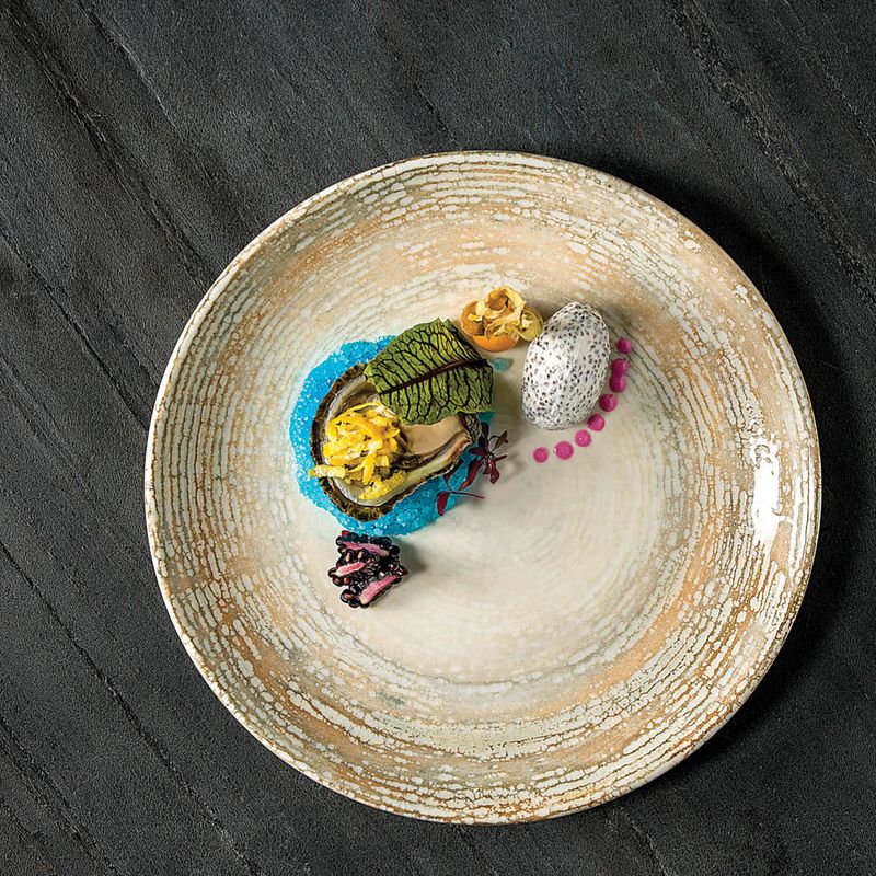 BONNA PATERA ROUND COUPE PLATE 210x20mm (PTRGRM21DZ) (*120250*) = PACK OF 12 X EACHES