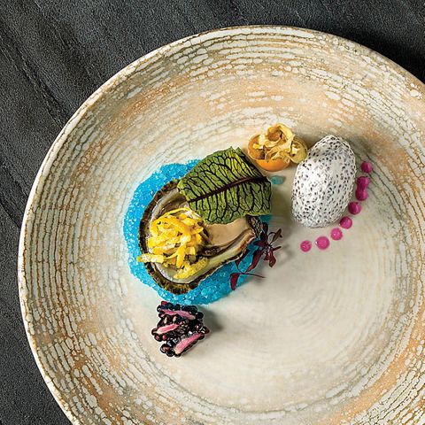 BONNA PATERA ROUND DISH 200mm (PTRGRM20CK) (*120244*) = PACK OF 12 X EACHES
