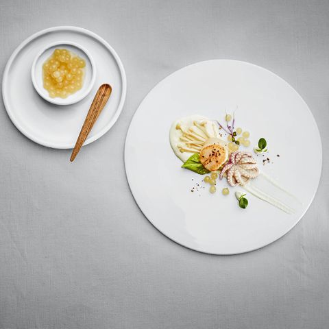 SCHONWALD SHIRO SAUCER SUIT 5220/5226  165mm RELIEF DESIGN (*SH9256970*) = PACK OF 12 X EACHES