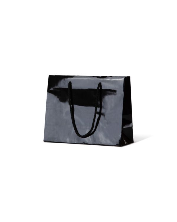 Laminated Medium Matte Emerald Black Paper Bag Rope Handle 200mm(L) x 250mm(W) + 100mm(G) - Box of 200