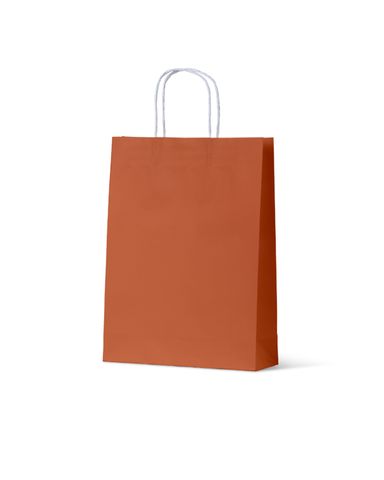 Medium Burnt Orange Coloured Loop Handle Paper Carry Bags 350mm(L) x 250mm(W) - Box of 200