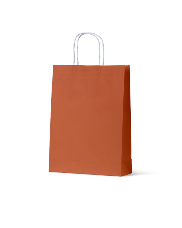 Medium Burnt Orange Coloured Loop Handle Paper Carry Bags 350mm(L) x 250mm(W) - Box of 200