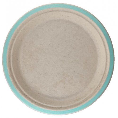 Sugarcane Plate 230mm Mint - Retail Pack of 10