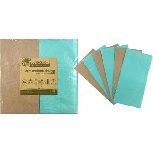 Alpen Paper Kraft Lunch Napkin Mint - Retail Pack of 20