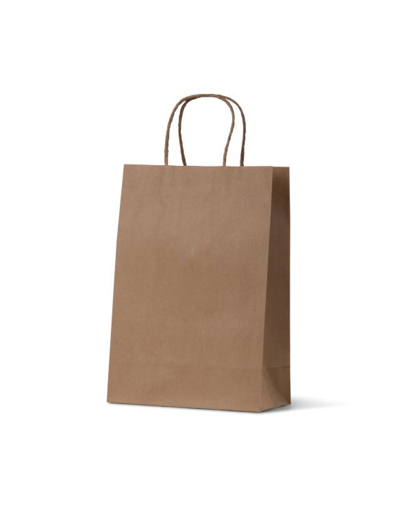 Junior Brown Loop Handle Paper Carry Bags 290mm(L) x 200mm(W) + 100mm(G) - EACH =1 / BOX=250
