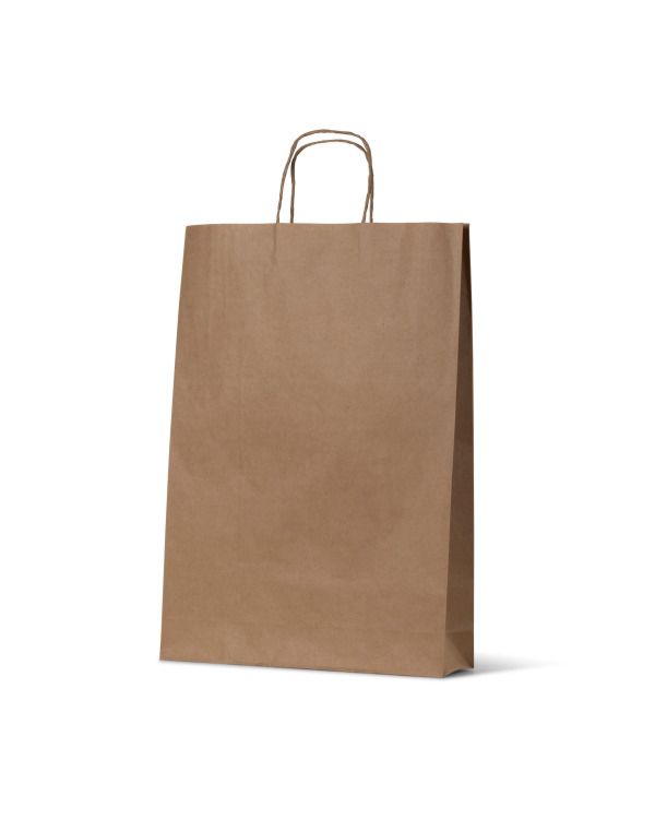 Medium / Midi Brown Loop Handle Paper Carry Bags 480mm(L) x 340mm(W) + 110mm(G) - EACH=1 / BOX=250