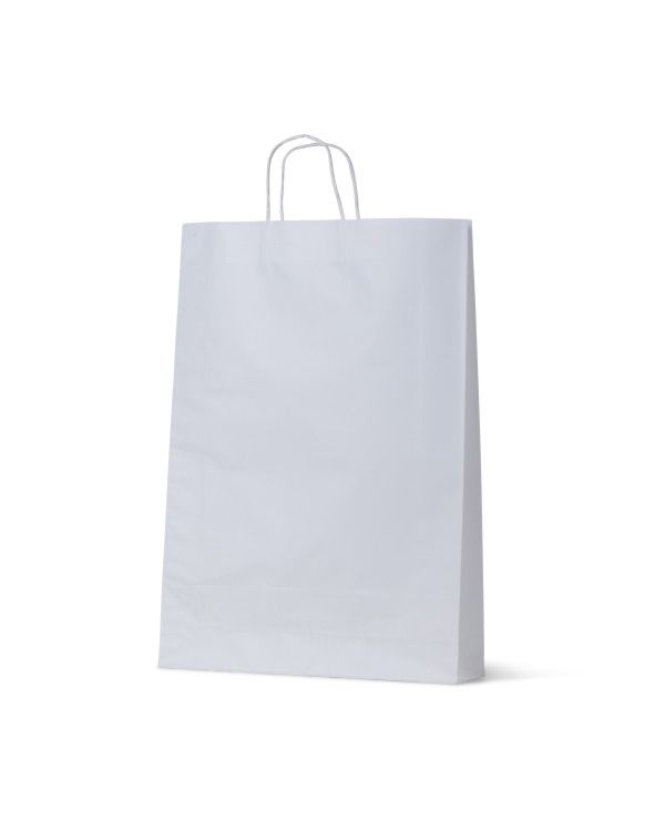 Medium White Loop Handle Paper Carry Bags 480mm(L) x 340mm(W) + 110mm(G) - EACH=1 / BOX=250