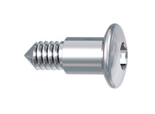 Hexagon Socket Screw Long Her