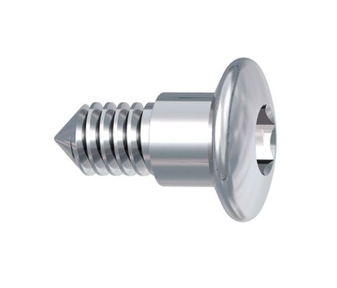 Hexagon Socket Screw Short He