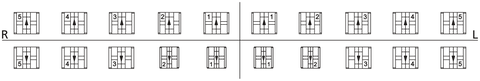 1 Case equilibrium 2 Standard