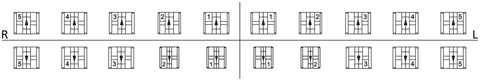 1 Case equilibrium 2 Standard