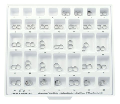 Ass. Stand L Molar Bands 64pcs