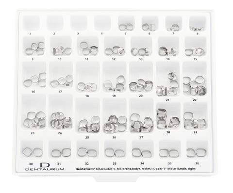 Ass. Stand U Molar Bands 150pc