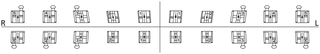 1 Case equilibrium Mini MBT