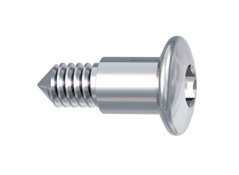 Hexagon Socket Screw Long Her