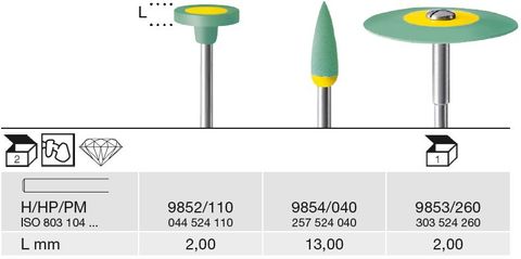 Busch Zirconia Polisher