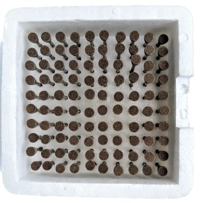 Argus Abrasive Stones