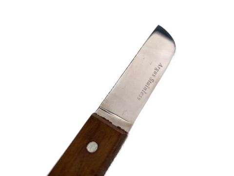 Argus Plaster Knife 15.5cm